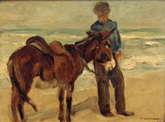 Menino com equitação burro na praia